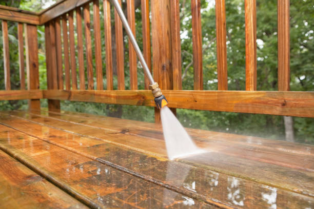 Best Roof Pressure Washing  in Quincy, CA