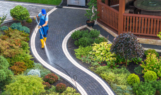 Best Local Pressure Washing Services  in Quincy, CA